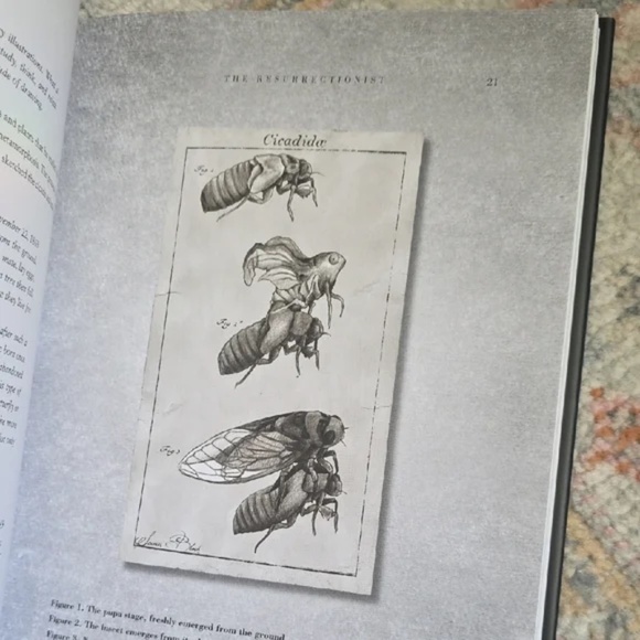 The Resurrectionist Book by E.B Hudspeth - Picture 3 of 6